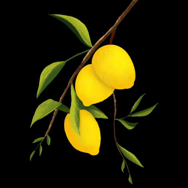 新手指南《觅圈电脑版》付费模式必读