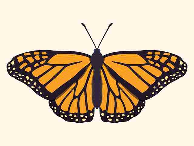 91吃瓜社群运营·SEO 战术独家档案