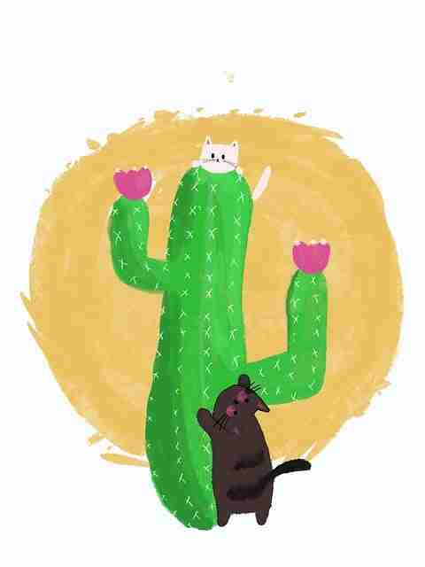 公关反击！91爆料趋势前瞻警示录