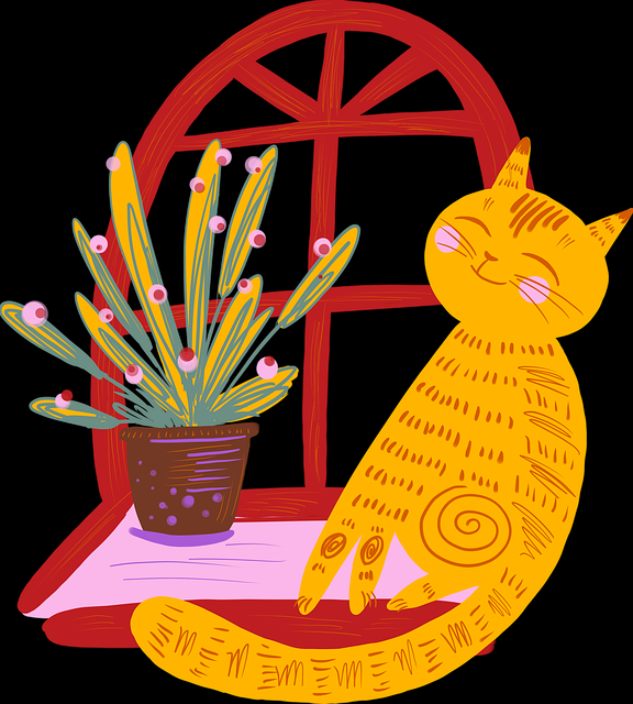 内容生态！天天影院久久影视商业模式案例复盘