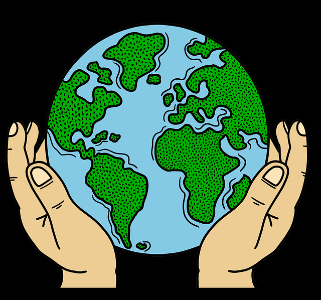 蘑菇视频电脑版行业洞察：爆款公式红与黑